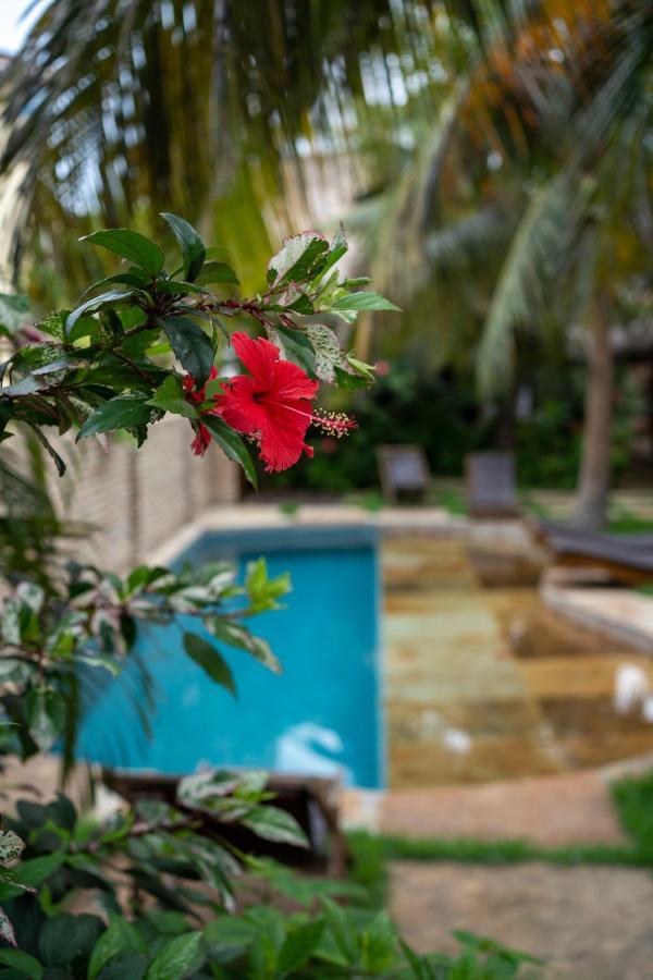 Casa Fufi Otel Jijoca de Jericoacoara Dış mekan fotoğraf